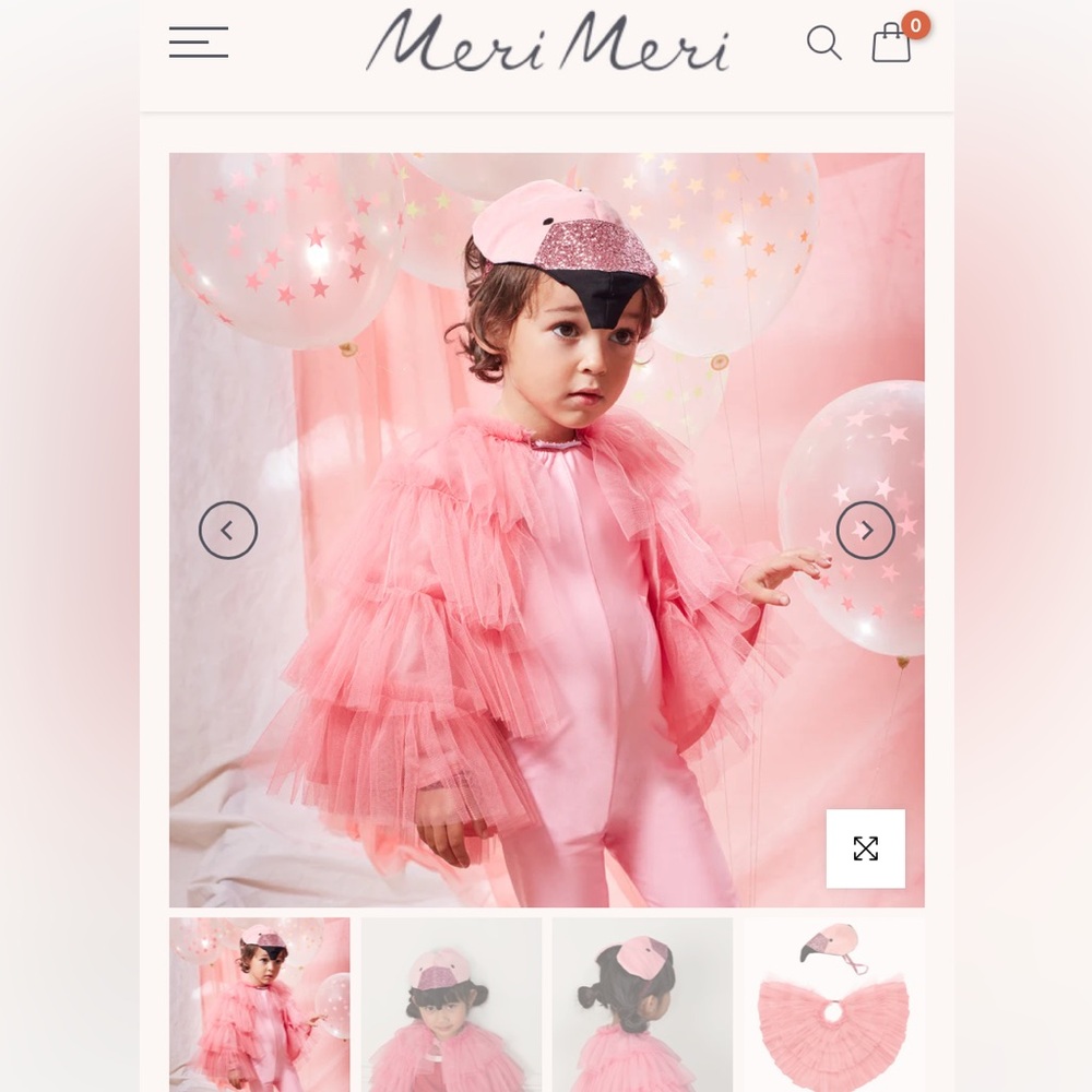 Pink Flamingo Costume
